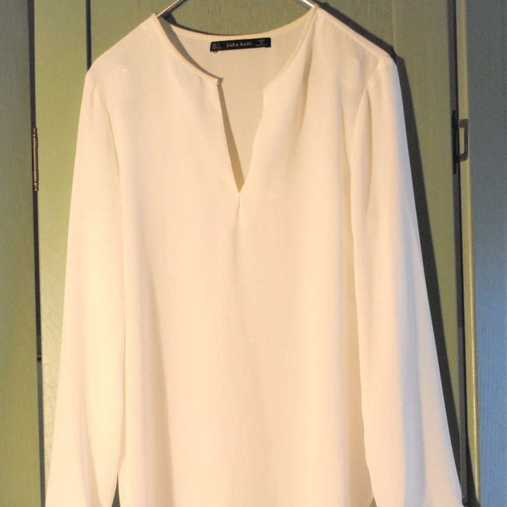 Zara Sheer Long Sleeve
